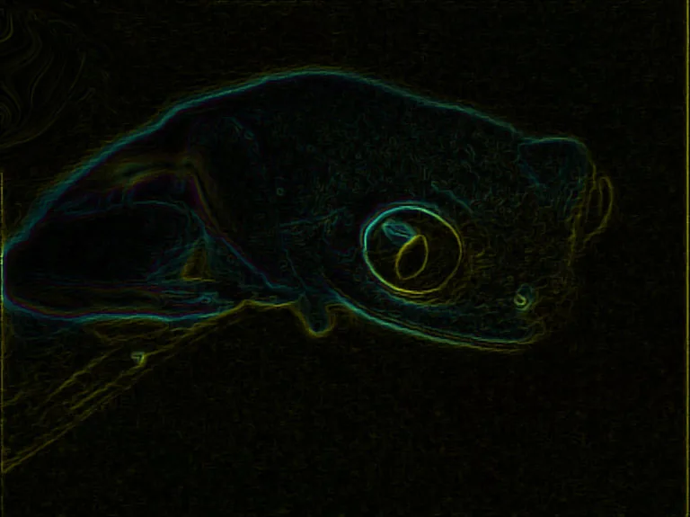 Digitale Arbeit auf fast schwarzem Grund: die dünnen, leuchtenden Umrisslinien eines Tierkopfes im Profil in Türkis und Gelbgrün, mit einem großen runden Auge, dessen Ring gelb leuchtet und in dem ein senkrechter heller Schlitz steht; nach links unten laufen zwei lange gelbe Linien aus dem Bild.