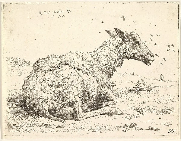 Radierung: ein zur Hälfte geschorenes Schaf liegt im Gras und hebt den Kopf; um seinen Kopf schwirren einzelne Insekten, dahinter eine flache Landschaft mit einer winzigen stehenden Gestalt.