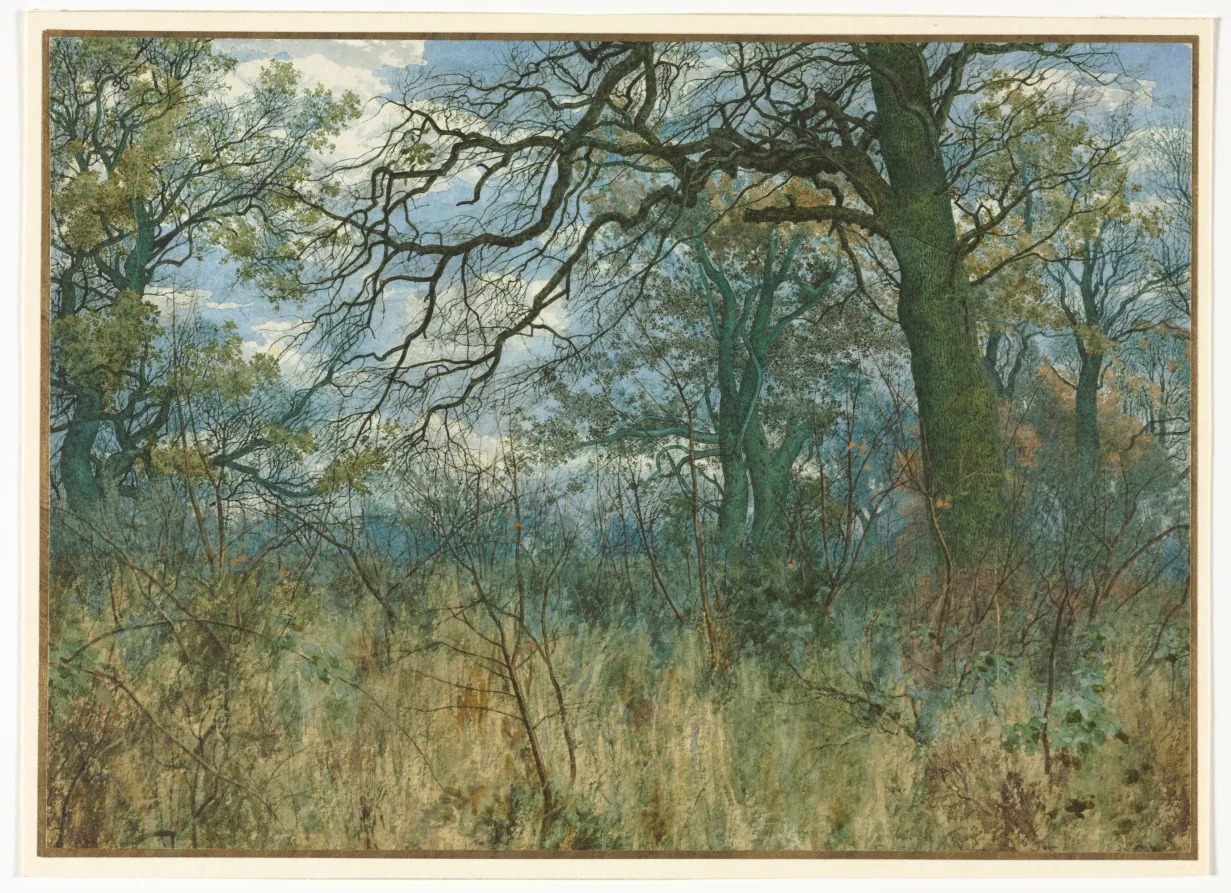Aquarell mit braunem Passepartout: kahle, vielfach verzweigte Eichenäste mit einzelnen grünen und rostroten Blättern vor blauem Himmel mit weißen Wolken; die untere Hälfte ist dichtes, blassgelbes trockenes Gras mit dünnen Ruten, Efeublättern und Gestrüpp, dahinter eine blaue Ferne.